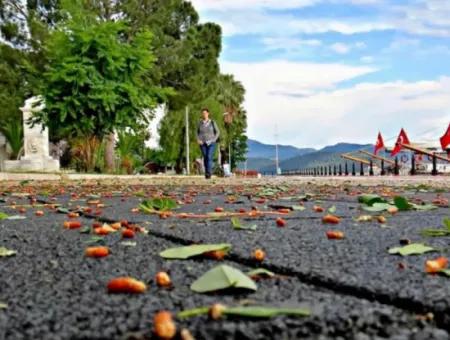 Fotos Von Köyceğiz