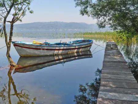 Maşukiye Sapanca Ormanya Hobbit Häuser Tour