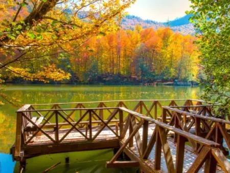 Abant Safranbolu Yedigöller Gölcük Lake