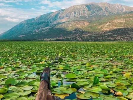 Çivril Işıklıgöl And Pamukkale White Paradise Tour