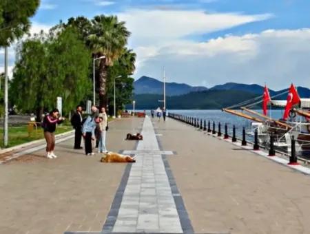 Photos Of Köyceğiz