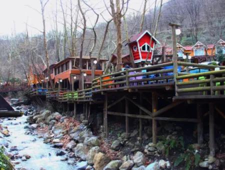 Maşukiye Sapanca Ormanya Hobbit Houses Tour