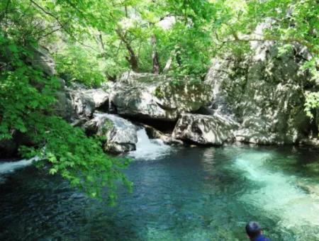 Kazdağları-Cunda-Akçay Turu