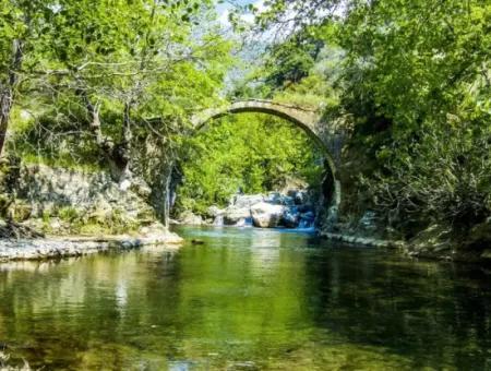 Kazdağları-Cunda-Akçay Turu